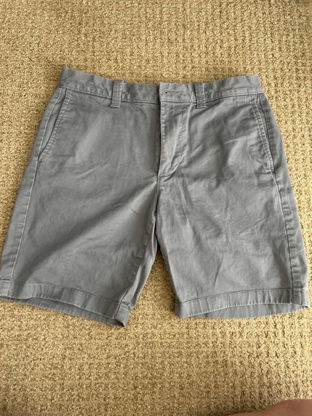 J. Crew 9 in Men's Classic Gray Cotton Shorts